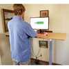 Uncaged Ergonomics RiseUpElectricStandingDesk60X30"BambooDesktopSitStandOffice, Rugb RUGB